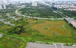 Hé lộ nhóm doanh nghiệp muốn rót vốn vào khu phức hợp thông minh Thủ Thiêm