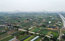 Dự án khu công nghệ cao sinh học hơn 1 tỷ đô được giao đất