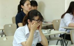 Hiệu trưởng ĐH Harvard: Thà con học kém cũng đừng ép đi học thêm, chăm tới 3 địa điểm này giúp IQ vượt bậc, nâng tầm nhận thức