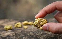 Phát hiện thêm 13.000 kg vàng trị giá 31.000 tỷ đồng bị bỏ ngoài hố rác