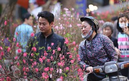 Thời tiết Tết Nguyên đán diễn biến bất ngờ: Miền Bắc có đợt rét tăng cường ngay đầu năm mới, nhiệt độ giảm mạnh ở nhiều nơi