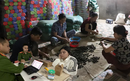 Đồng loạt khám xét 6 địa điểm ở 2 tỉnh trong chuyên án thuốc giả quy mô lớn, bắt Đoàn Thị Lam SN 1972