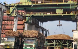 Hai doanh nghiệp bị UBCKNN xử phạt vì không công bố thông tin