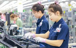 Đại bàng công nghệ thế giới xây 6 nhà máy, tạo 87.000 việc làm tại Việt Nam, vừa làm một việc lớn