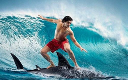 Dòng tiền chưa muốn nghỉ, chuyên gia gọi tên các nhóm cổ phiếu có thể "đón sóng" sau Tết