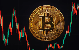 Thị trường tiền số hôm nay, 12-2: Động thái bất ngờ của sàn lớn nhất thế giới với Bitcoin