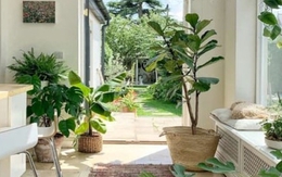 3 dấu hiệu chứng tỏ ngôi nhà của bạn đang có phúc khí, càng ở càng có lộc, đừng dại bán đi