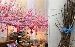 Miền Bắc lúc này: Đào chưa kịp Tết đã bung hết hoa, cả cõi mạng xin nhau tips “hoãn lại cái sự xinh đẹp ấy”