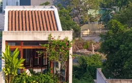 Nhà hình tổ chim: Không gian sống mềm mại giữa phố thị