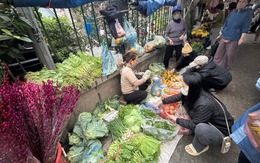 Gần Tết Nguyên đán, rau xanh đứng giá, thịt cá nhích nhẹ