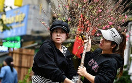 Thời tiết “quay xe” đúng đêm Giao thừa: Miền Bắc bước vào năm mới trong cơn mưa rét, nhiệt độ có nơi xuống dưới 15°C