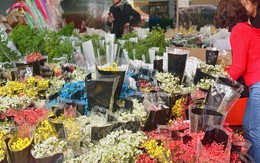 Cập nhật giá cả hoa ngày 28 Tết: Tuyết mai rẻ bất ngờ, cúc đẹp “đỉnh cao”, mộc lan trở thành hot trend