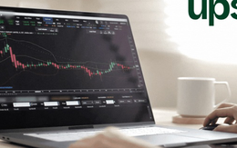 Danh tính nhà đầu tư dự mua 67,6 triệu cổ phiếu riêng lẻ của Chứng khoán UP