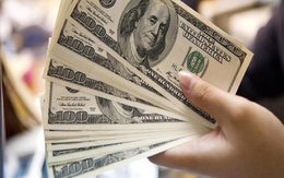 Mùa Tết - mùa cao điểm của dòng kiều hối