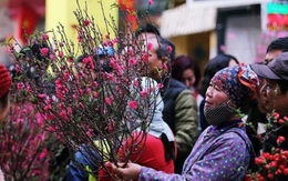 Không khí lạnh tràn xuống đúng mùng 1 Tết Bính Ngọ 2026: Miền Bắc chuyển rét, nhiệt độ giảm sâu