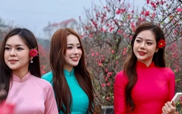 Thiếu nữ xúng xính áo dài, check-in vườn đào Nhật Tân