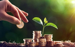 Điểm danh loạt doanh nghiệp chia cổ tức bằng tiền mặt ‘khủng’ trong năm 2025