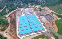 Mỗi 100 đồng vốn "đẻ" ra 83 đồng lãi: Hé lộ "cỗ máy in tiền" phía sau lợi nhuận khủng