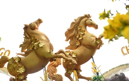 Cận cảnh đường hoa ven sông Đồng Nai "vạn người mê"