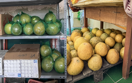 Cảnh tượng nhìn là biết Tết miền Bắc