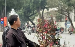 Bộ Tài chính thông tin về giá cả thị trường Tết