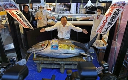 3 phiên đấu giá cao kỷ lục, gây 'bão' đầu năm 2026