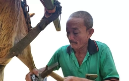 Chuyện ít biết về người làm nail cho ngựa cù lao