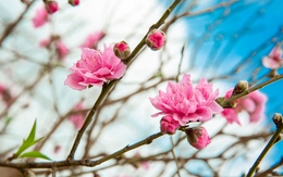 Tại sao tháng 1 gọi là tháng Giêng?