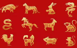 Từ mồng 1 tháng Giêng có 3 con giáp được cát tinh hỗ trợ, quý nhân che chở, sự nghiệp thăng hoa rạng rỡ