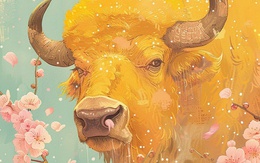 Chuyên gia phong thủy: Từ mai, 5 con giáp bùng nổ tài lộc đúng dịp Tết Bính Ngọ 2026, top 1 may mắn đỉnh cao