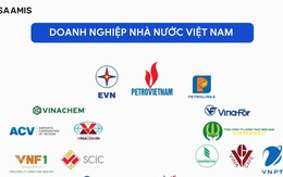 Nhiều doanh nghiệp nhà nước vào diện cơ cấu lại vốn