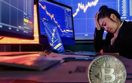 Bitcoin và tiền số 2026: Cơ hội lớn cho nhà đầu tư hay cái bẫy FOMO mới?