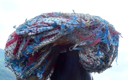 Sản vật biển của Việt Nam tạo "cơn sốt" tại Mỹ, đơn hàng áp đảo thị trường