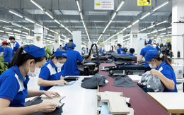 Nhìn lại một năm thăng trầm thị trường việc làm