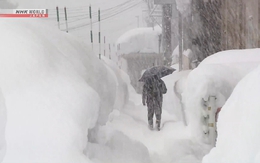 Nhiều người bị tuyết vùi lấp tử vong tại Nhật Bản