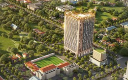 Cổ phiếu API vào diện bị kiểm soát, APEC Group nói gì?