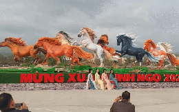 Cận cảnh 8 linh vật ngựa "bắt mắt" được trưng bày ở Lao Bảo