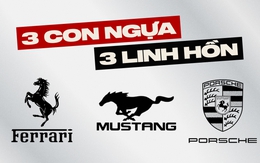 Cùng là ngựa, vì sao logo Ferrari chồm lên, Mustang lao đi, Porsche đứng vững?