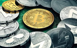 Tài sản số không còn là trào lưu