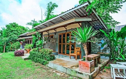 Ngày tôi quyết định bán căn nhà ở phố về quê sống, hàng xóm chê cười, Tết năm nay họ lại ngại ngùng nhìn tôi khâm phục