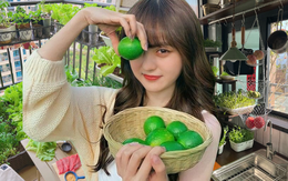 Từ chê “trồng rau là phong trào” đến nghiện thu hoạch: Lần đầu tôi hiểu vì sao người thành phố mê làm nông tại nhà