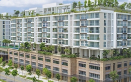 Bức tranh bất động sản 2026: "Điểm nhấn" ở phân khúc nào?