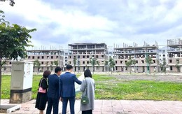 “Lá chắn vàng” của môi giới chuyên nghiệp trong năm mới Bính Ngọ