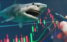 Khối quỹ ngoại cơ cấu danh mục ra sao trước kỳ nghỉ Tết?