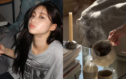 Loại trà lành tính hợp uống sau Tết: Detox, giảm tích nước, trả vòng eo về như cũ