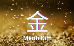 Nhà đầu tư mệnh Kim kỳ vọng gặp nhiều hỗ trợ trong năm Bính Ngọ, "ba chữ cái" nào sẽ toả sáng?