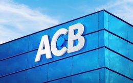 ACB bước vào năm Ngựa: Phi nước đại là bản năng, nhưng giữ được nhịp bền bỉ mới là bản lĩnh của những tổ chức đi đường dài