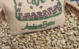 Giá cà phê hôm nay 23-2: Dự báo từ Tổ chức Cà phê quốc tế