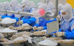 Nhận tin vui từ Mỹ, một cổ phiếu thủy sản "bung nóc": Có thể lãi gấp đôi chỉ sau một đêm?