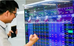 Cổ phiếu nhóm dầu khí tăng kịch trần